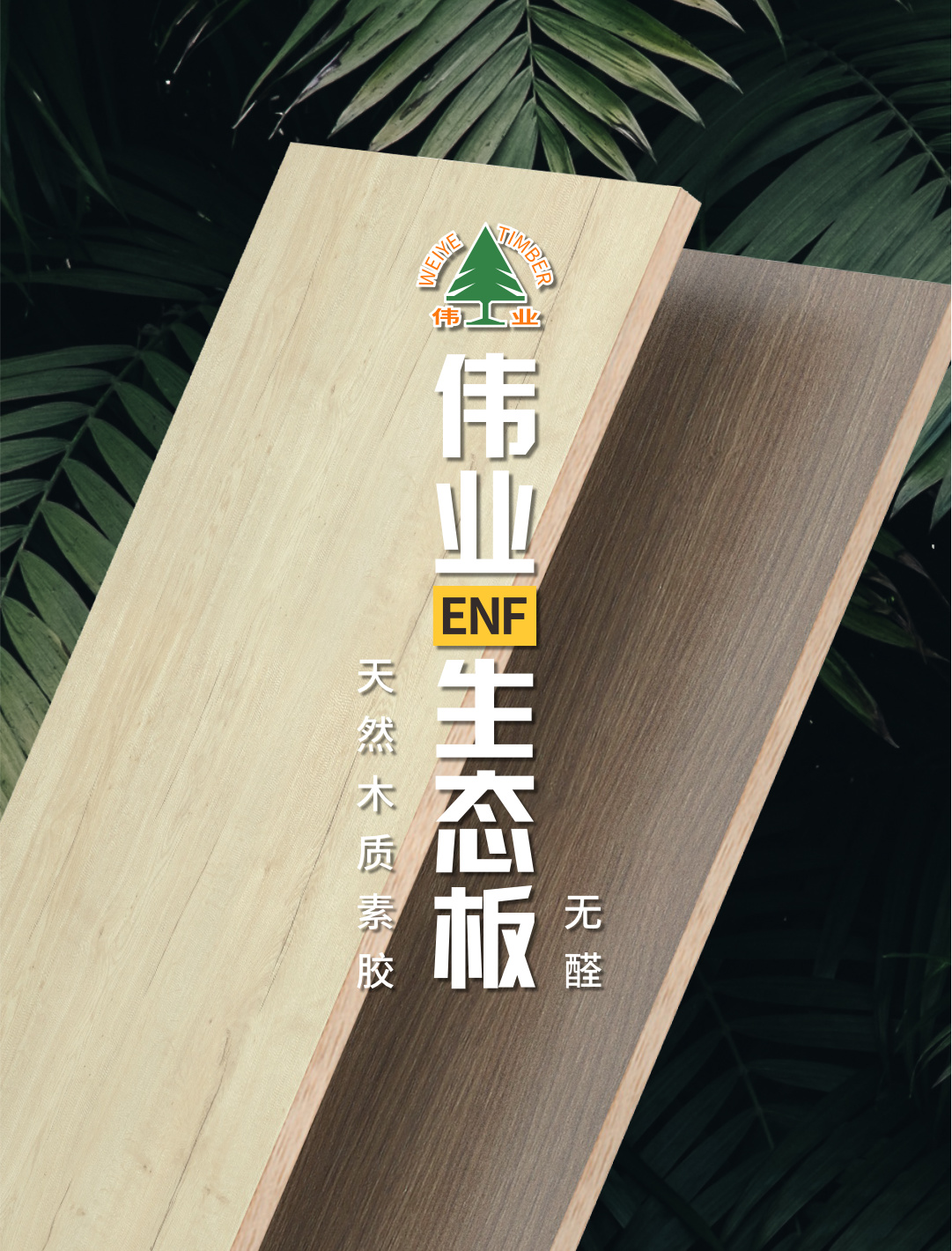 畫(huà)板3.jpg