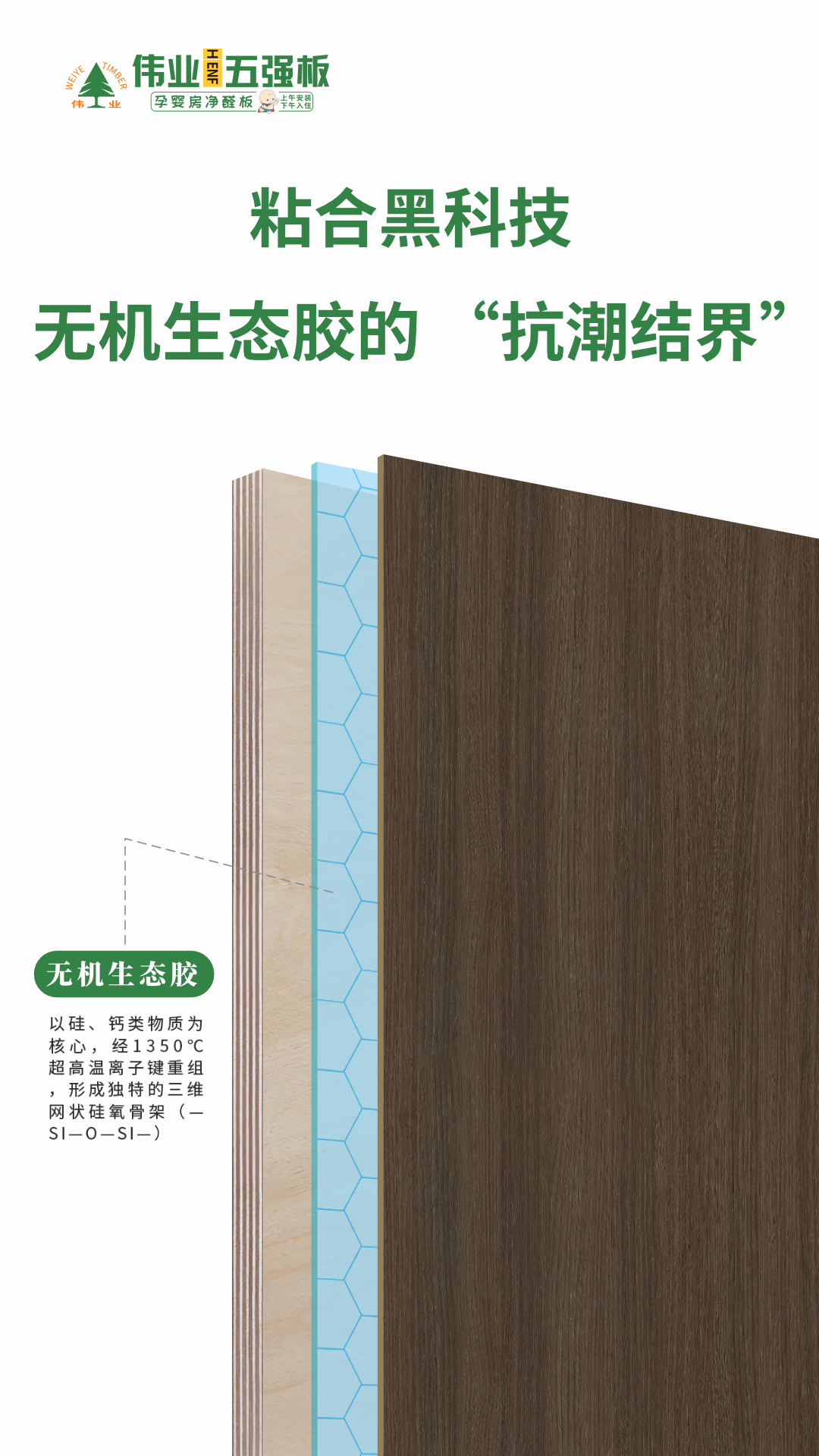 畫板5.jpg